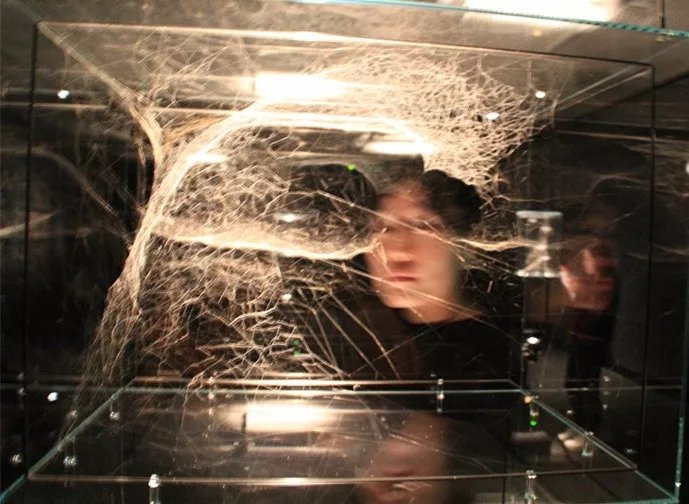 AIVA的預科小朋友們參觀托馬斯·薩拉切諾:原地飛行